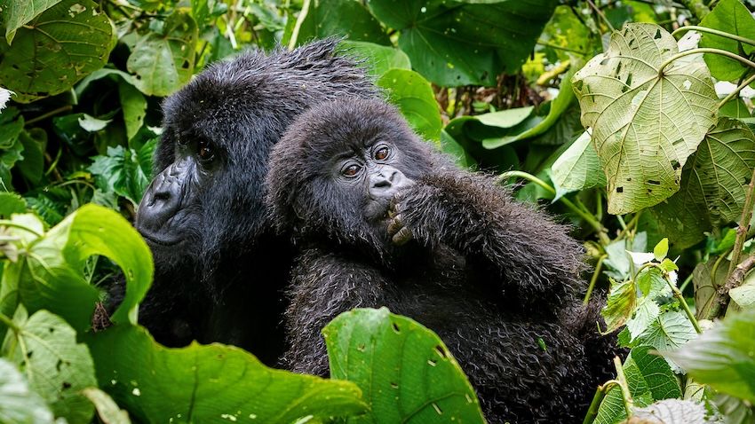 17-new-expeditions-national-geographic-signature-g-adventures-2.jpeg