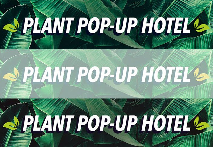 Spend the night at the first plant pop-up hotel from Orbitz
