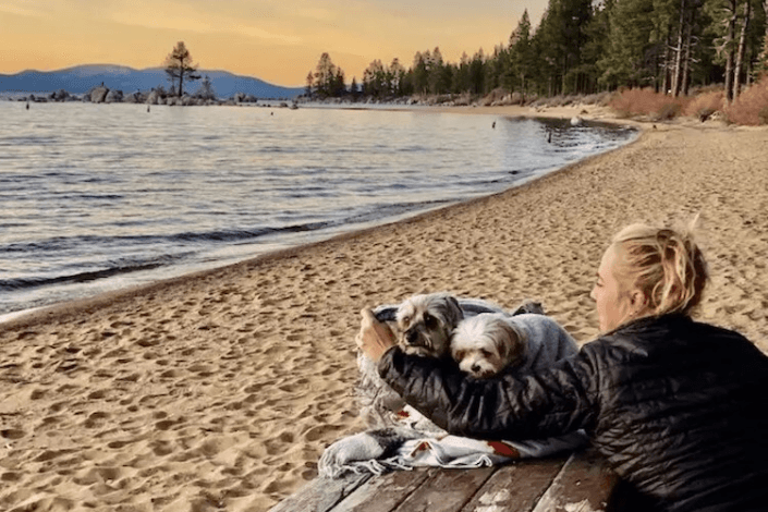 The 9 most dog-friendly campgrounds in 2024 according to the Dyrt