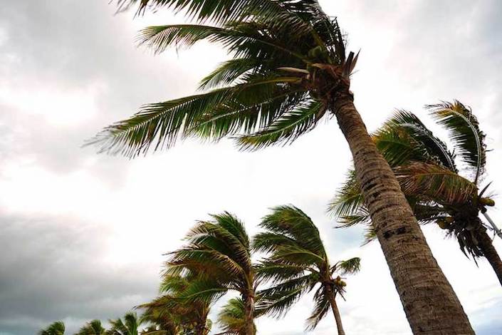 Airports, theme parks on high alert as Hurricane Idalia barrels towards Florida’s Gulf coast