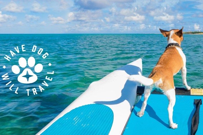 Aruba invites pet parents and their dogs to experience the Aruba Effect with 'Have Dog, Will Travel'