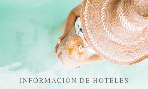 Información Hotelera