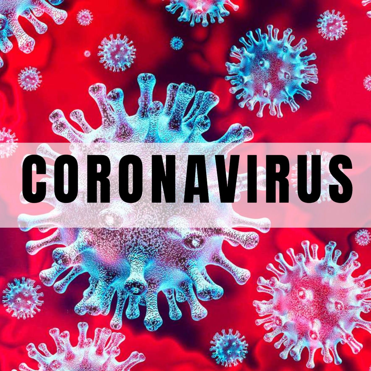 10 buenas noticias sobre el coronavirus