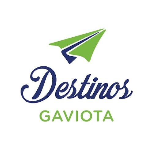 Destinos Gaviots Logo.jpg