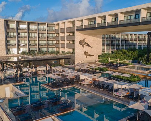 Devossion by Live Aqua Playa del Carmen.jpg