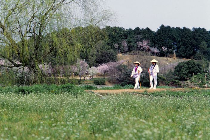 Discover Sustainable Travel in Shikoku