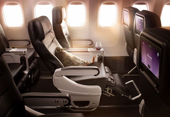 Discover a Better Way to Fly - Air New Zealand