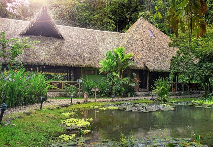 Exodus Travels: The Lodge That Saved A Rainforest