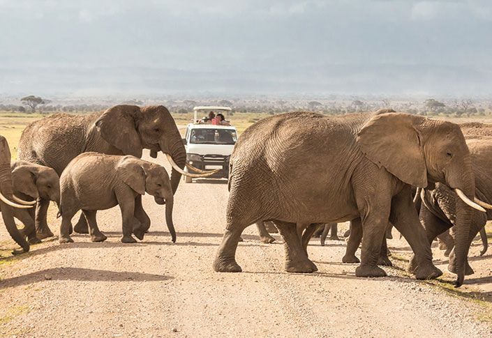Extraordinary Journeys’ top five ‘buddymoon’ safari accommodations