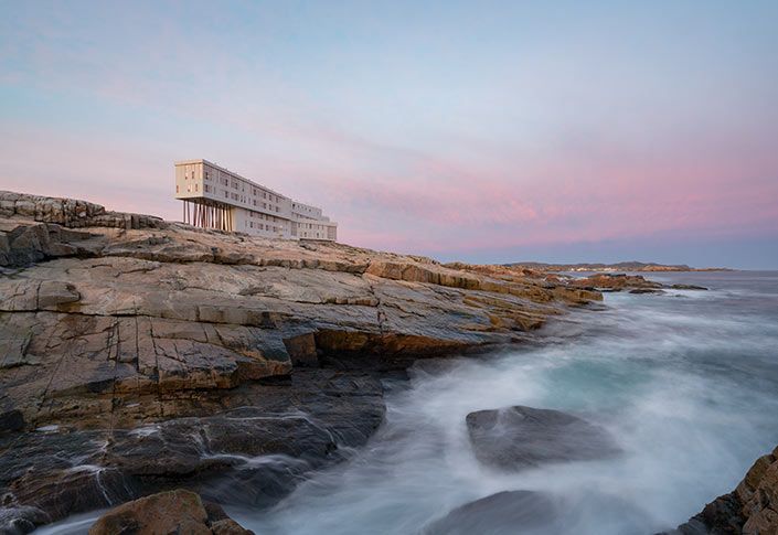 Fall is berry season on Fogo Island