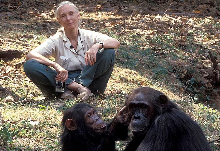 G Adventures Presents The Jane Goodall Collection