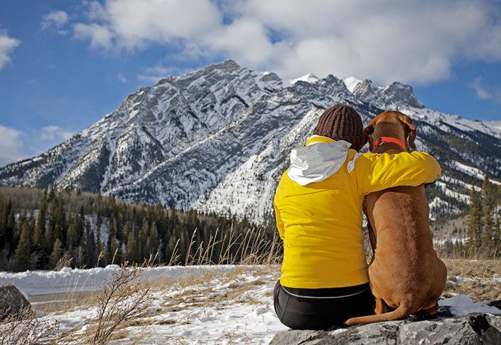 Happy Tails provide alternative to air travel for pets