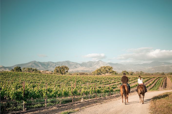 Here's-everything-you-need-to-know-about-travelling-to-Santa-Ynez-Valley-4.jpg