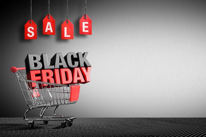 Holland America Line Black Friday Sale