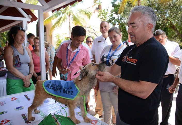 How can you help Riviera Maya dogs? Adopt one with the help of Sandos Hotels & Resorts!