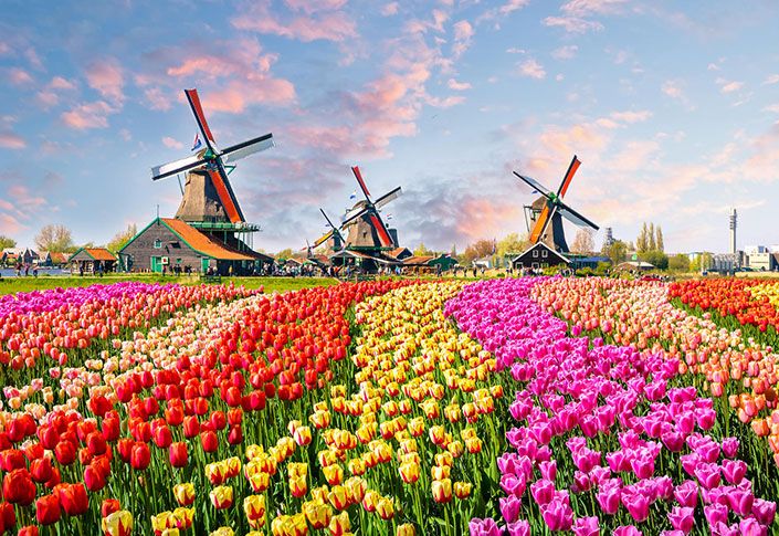 Introducing Holland Bike & Sail - Tulip Tour with Exodus Travels
