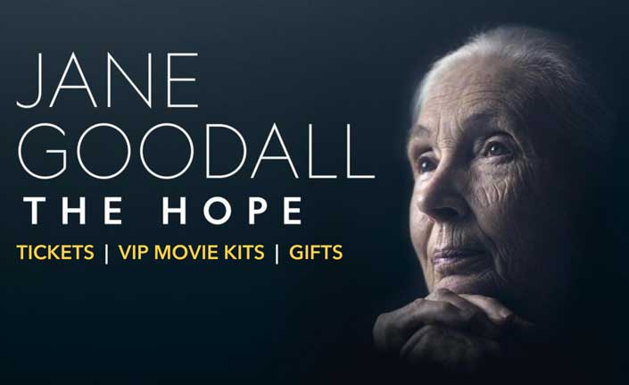 Join Jane Goodall at her exclusive virtual screening
