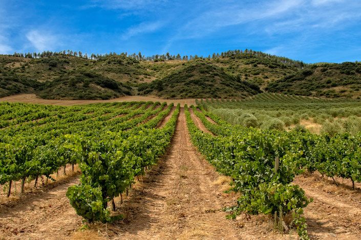  La Rioja to host 2023 edition of the UNWTO Global Conference on Wine Tourism