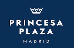Princesa Plaza Madrid