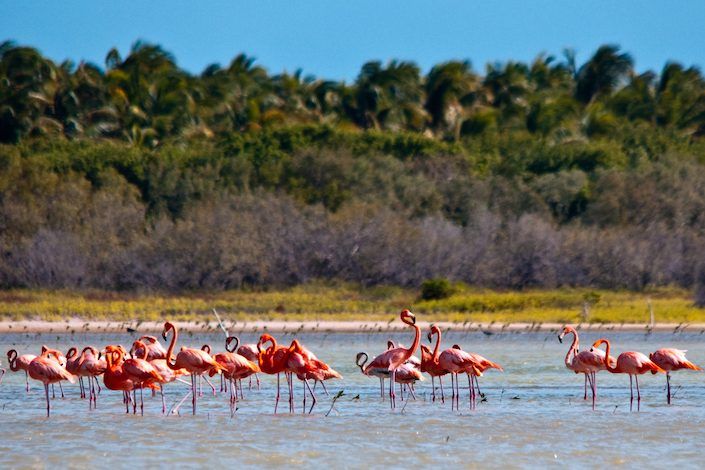 NATURE IS QUEEN: the precious ecosystems of the Dominican Republic