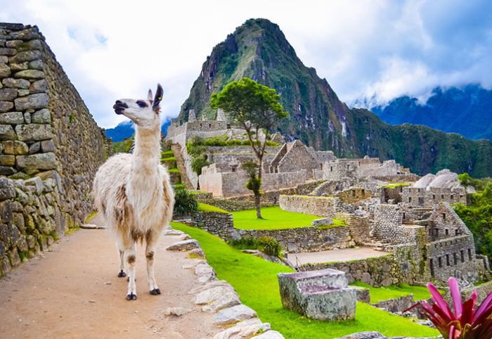 Peru opens Machu Picchu for single tourist stranded by Covid