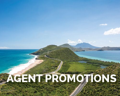 Agent Promotions