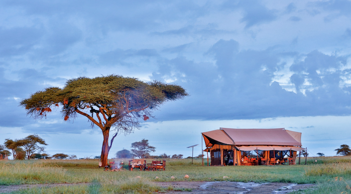Descubre la mejor experiencia y destinos de safari en África: Ratpanat Luxury & Adventure