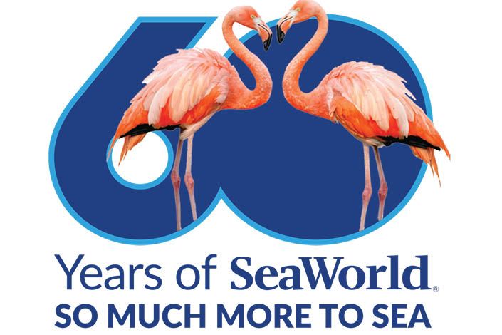 SeaWorld launches 60th anniversary celebrations and unveils "There's So Much More to Sea"