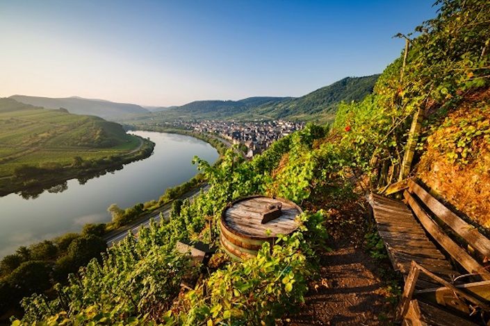 Stunning wine hikes not only for connoisseurs