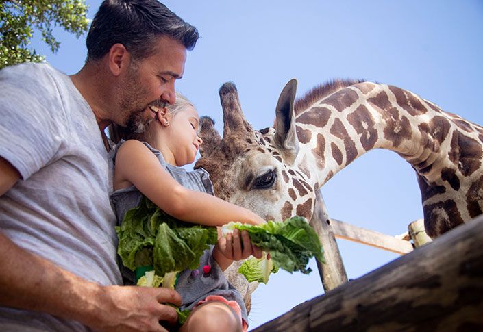 Summers in Florida are made for family fun!