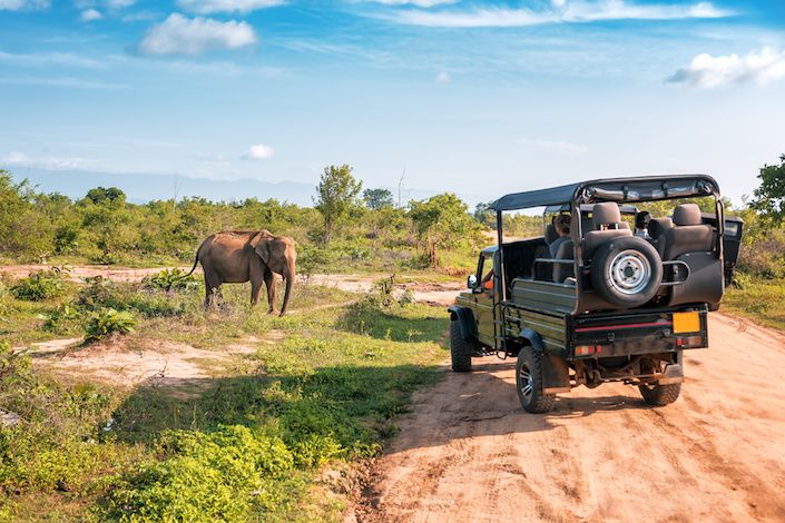 Sunny Land Tours' Kenya Safari FAM