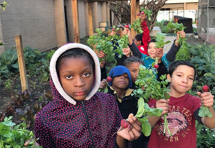 The TreadRight Foundation unveils first-ever USA projects with New Partners, Green Bronx Machine and Flourish Forever