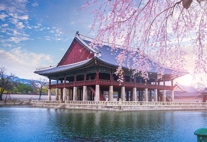 Top 10 'must-go' wellness establishments in Korea