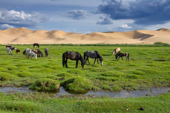 Travel-All-Mongolia-FAMs-2022:2023-3.jpeg