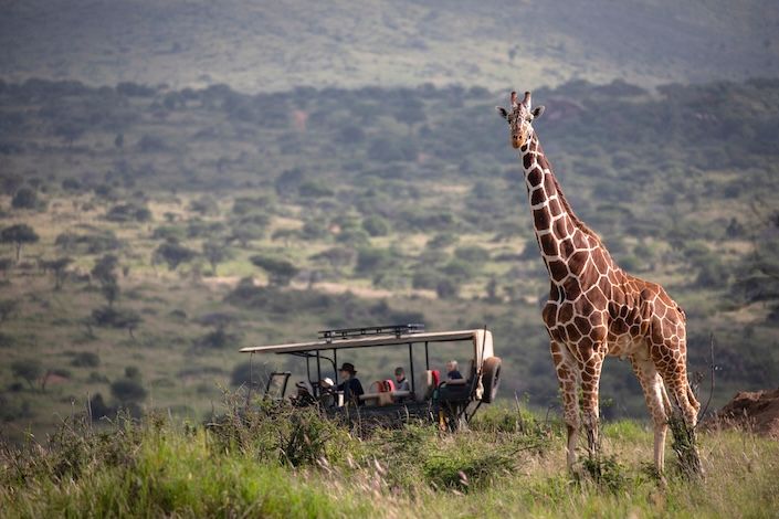 African Travel, Inc. launches Travel Advisor incentive to win a safari adventure of a lifetime