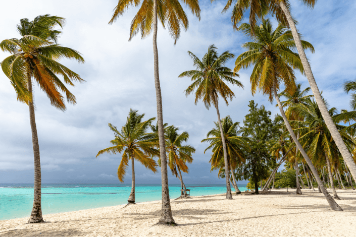 alltours Winterprogramm 2026/27 ab sofort buchbar