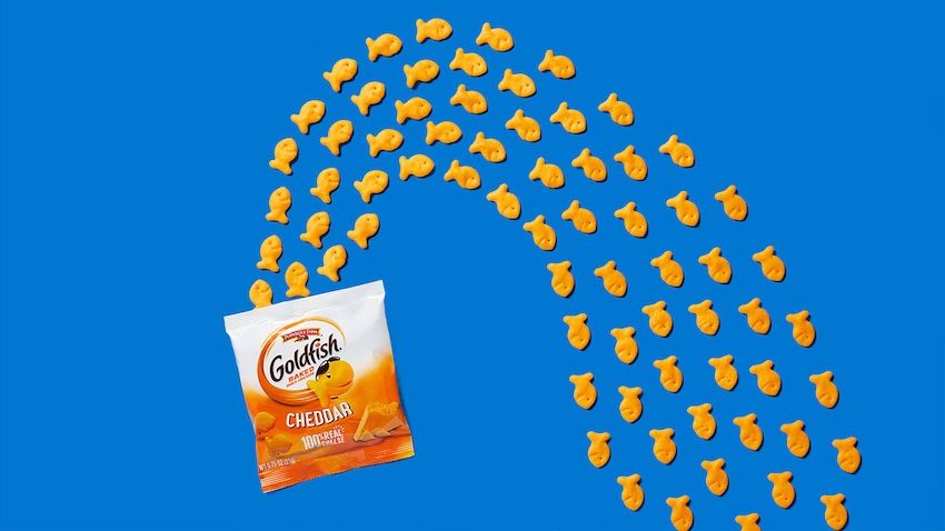 american-airlines-elevate-inflight-experience-new-lineup-complimentary-snacks-2.jpg