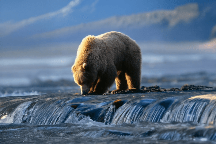 Azamara Cruises unveils immersive cruisetours for an unforgettable 2026 Alaska season