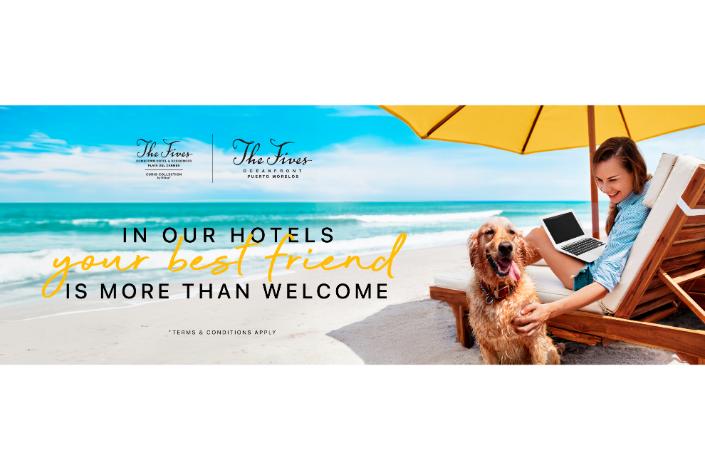 Bring your best friend along to The Fives: Pet-friendly stays await!