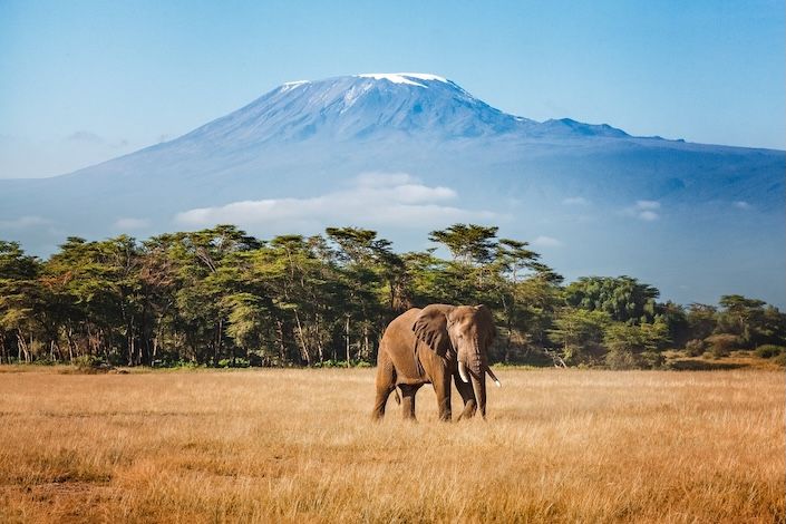 British Airways announces new Tanzania routes and network update for summer 2027