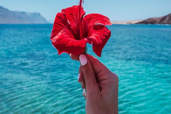 Primavera en Canarias: vende primavera, vende experiencias