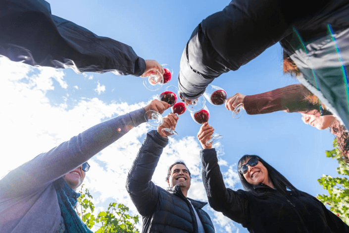 Chile inicia temporada de vendimias con más de 40 fiestas entre febrero y mayo