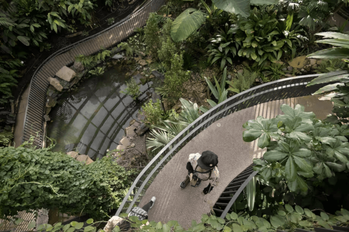 Cinco jardines botánicos imperdibles para visitar en Colombia