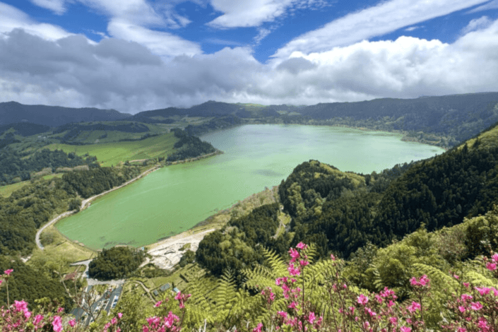 Collette rewards both advisors and their clients with big Black Friday Sale