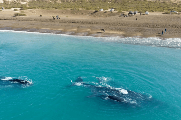 Destinos para viajar en septiembre en Argentina