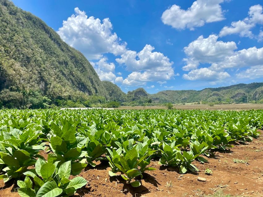 discover-vinales-cuba-eco-gem-pinar-del-rio-2.jpg