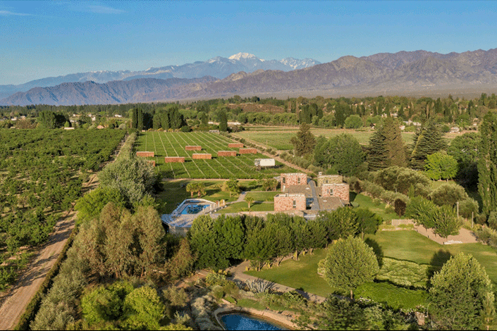 Entre Cielos Wine Hotel + Spa celebra la cosecha de uva de Mendoza durante marzo y abril