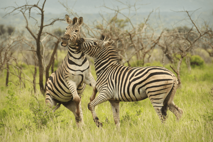 Frommer's names best places to go in 2026