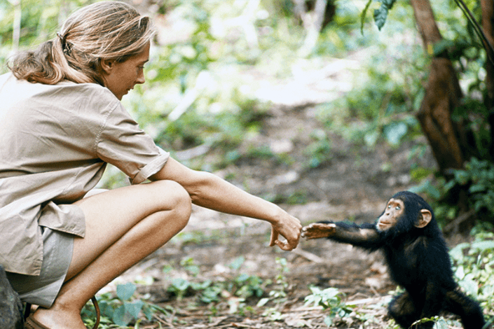 G Adventures adds five new trips to Jane Goodall Collection