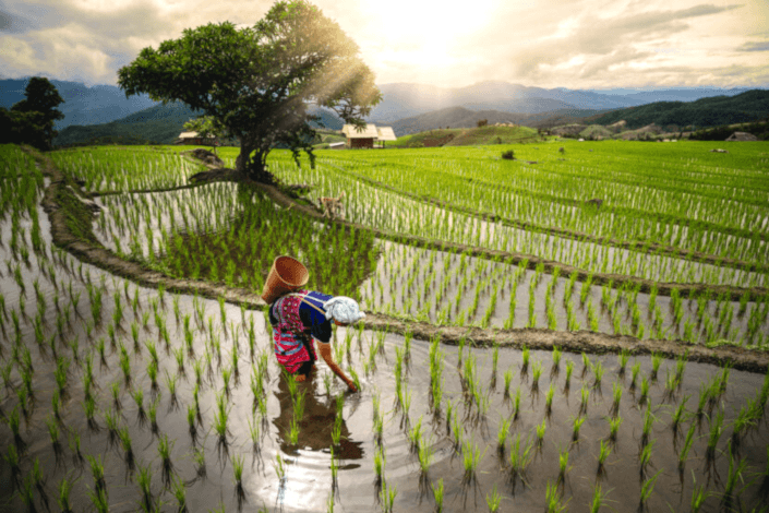 Goway launches new Asia forum for Travel Advisors